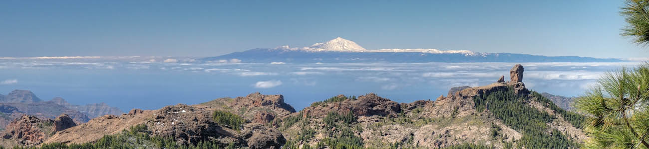 Wandertour mit Wanderführer zum Pico de las Nieves, im Bild Roque Nublo und Teide