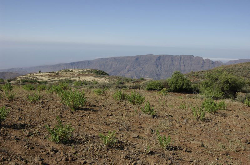 Alte, aufgelassene Felder bei einer Wandertour im Südosten von Gran Canaria