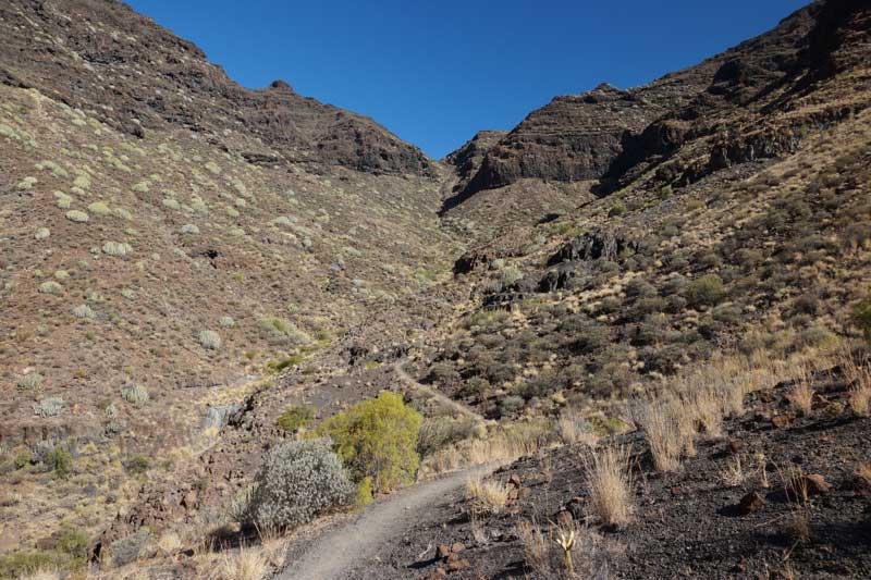 Wanderweg bergauf zur Degollada de Aguas Sabinas, Südwesten Gran Canaria