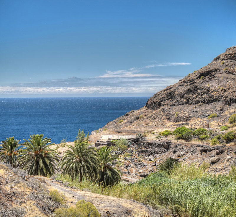 Palmen und spanisches Rohr im Talgrund oberhalb des Guigui Strandes mit Blick nach Teneriffa und den Teide