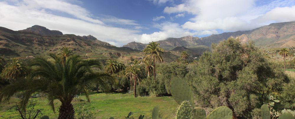 Kessel von Tirajana mit Palmen und Olivenbäumen auf dem Rückweg der Wandertour