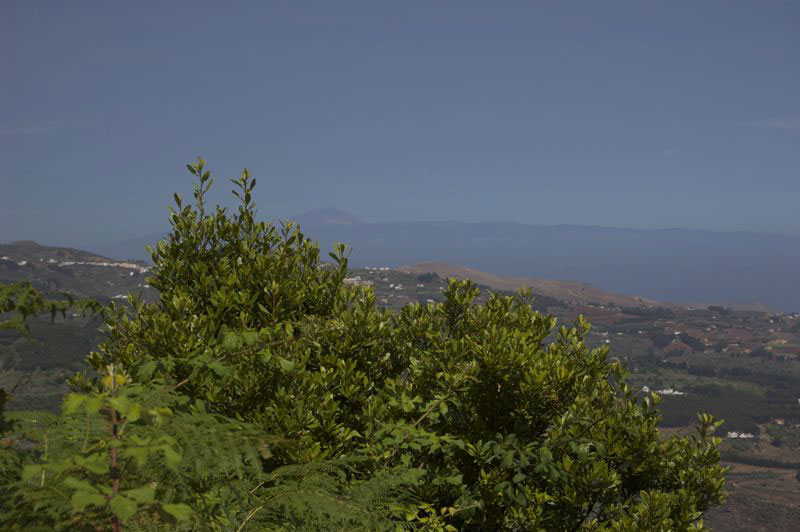 Blick von der Montaña de Osorio nach Teneriffa mit dem Teide