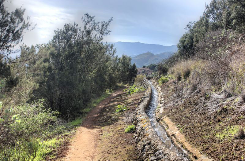 Wasserleitung verläuft durch den aufgeforsteten Baumheidewald an der Montaña de Osorio