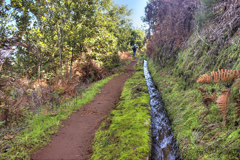 Alte Wasserleitung mit viel Moos neben dem Wanderweg zum Osorio Berg