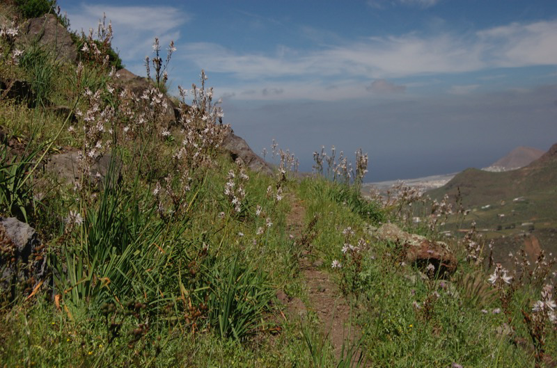 Wanderpfad am Hang oberhalb vom Tal von Agaete