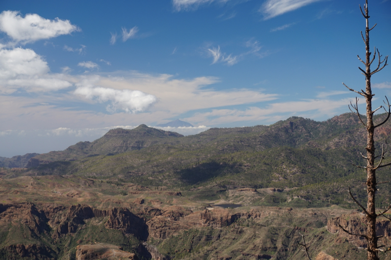 Blick über die lichten Kiefernwälder im Westen von Gran Canaria, im Hintergrund der Teide auf Teneriffa