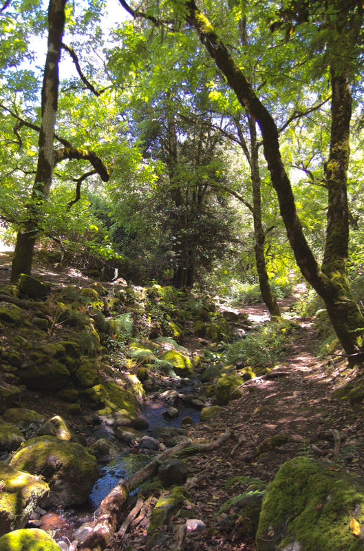 Kleiner Bach in eine grünen Tal oberhalb von Valsendero