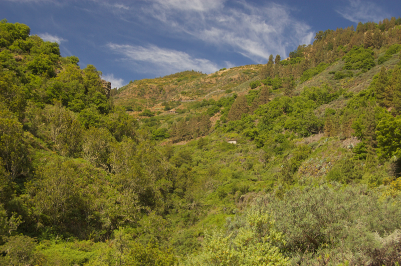 Grünes Tal im Norden von Gran Canaria