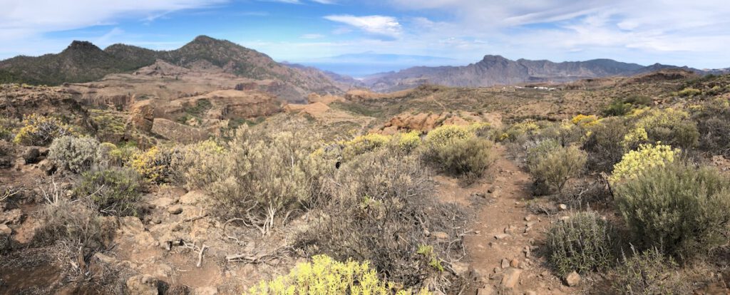 Trockene Ginsterlandschaft westlich von Tejeda und Blick nach Tenerifa und den Teide.