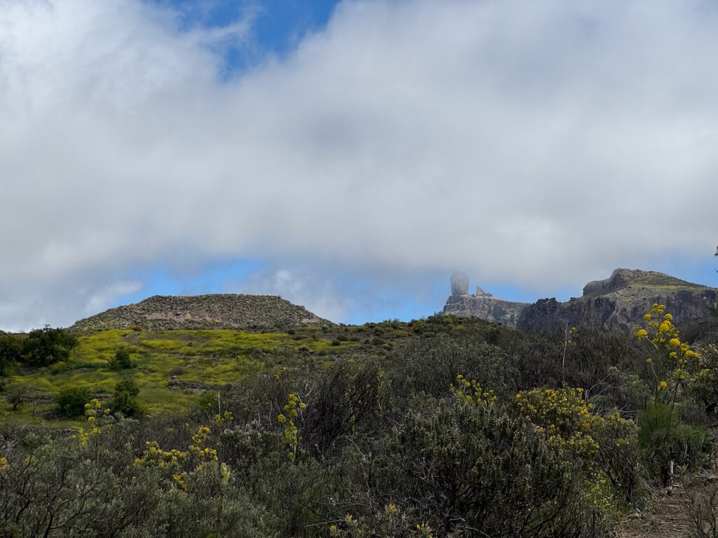 Roque Nublo in Wolken davor blühende Terrassen.