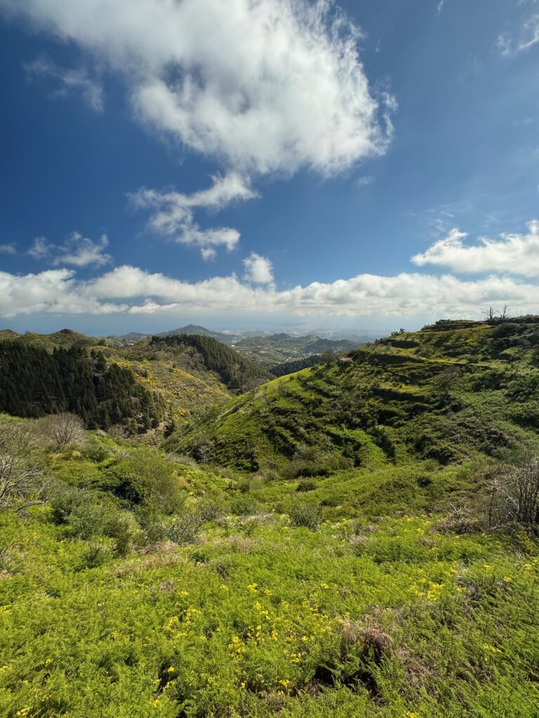 Grüne Terrassenfelder im Nordöstlichen Zentrum von Gran Canaria