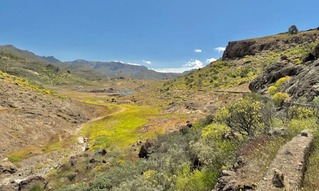 Leerer Stausee auf Gran Canaria mit gelb blühenden Wiesen